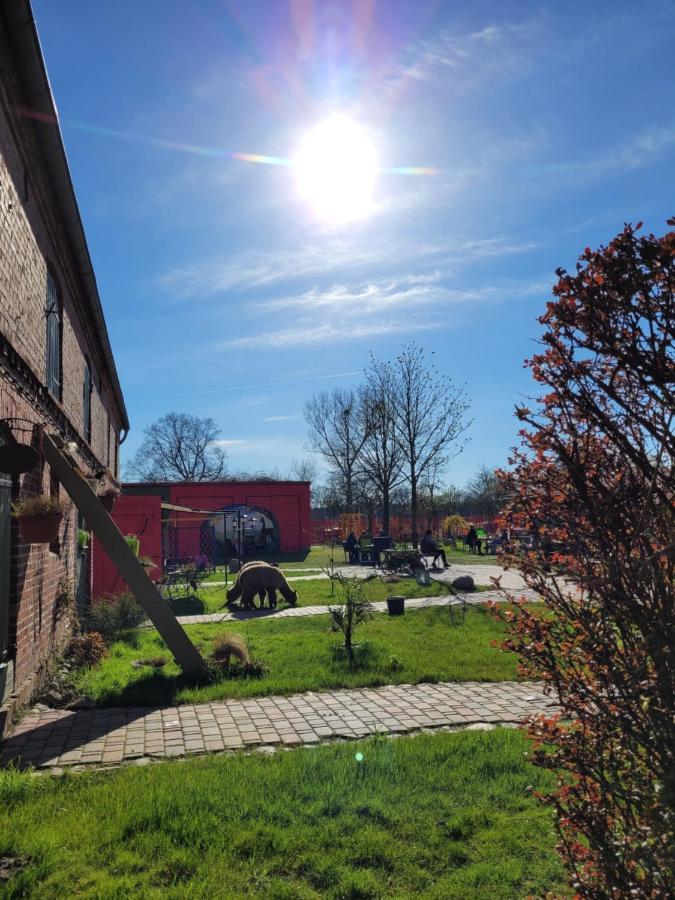 Apartamento Maerchenhaft Urlauben Auf Dem Alpakahof Rambow Exterior foto