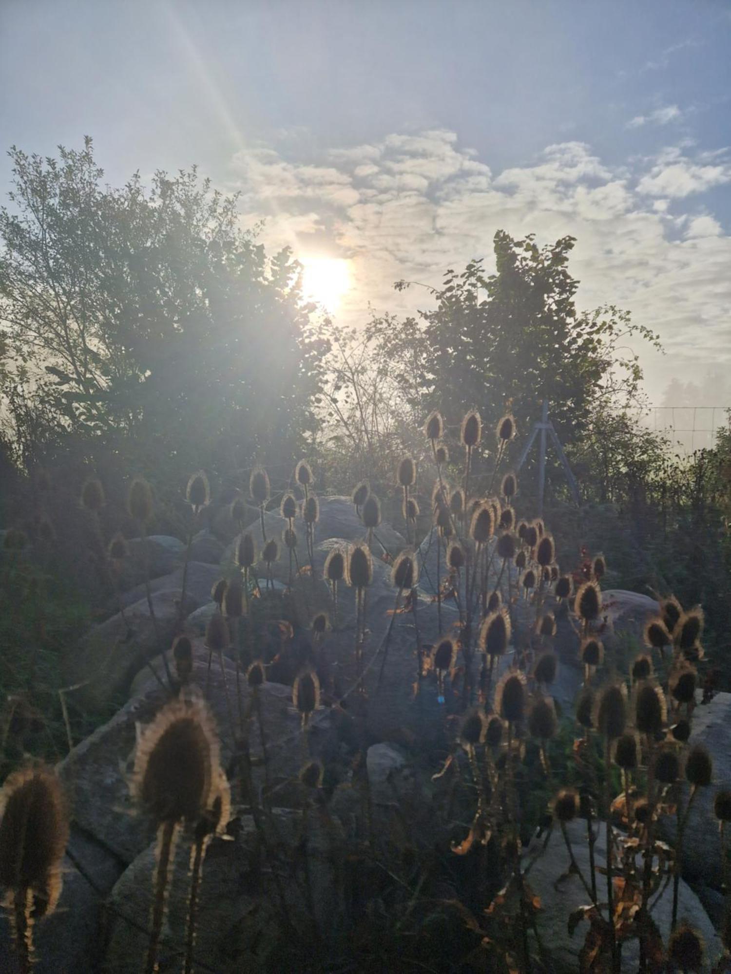 Apartamento Maerchenhaft Urlauben Auf Dem Alpakahof Rambow Exterior foto